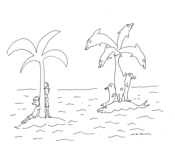 Contest #546