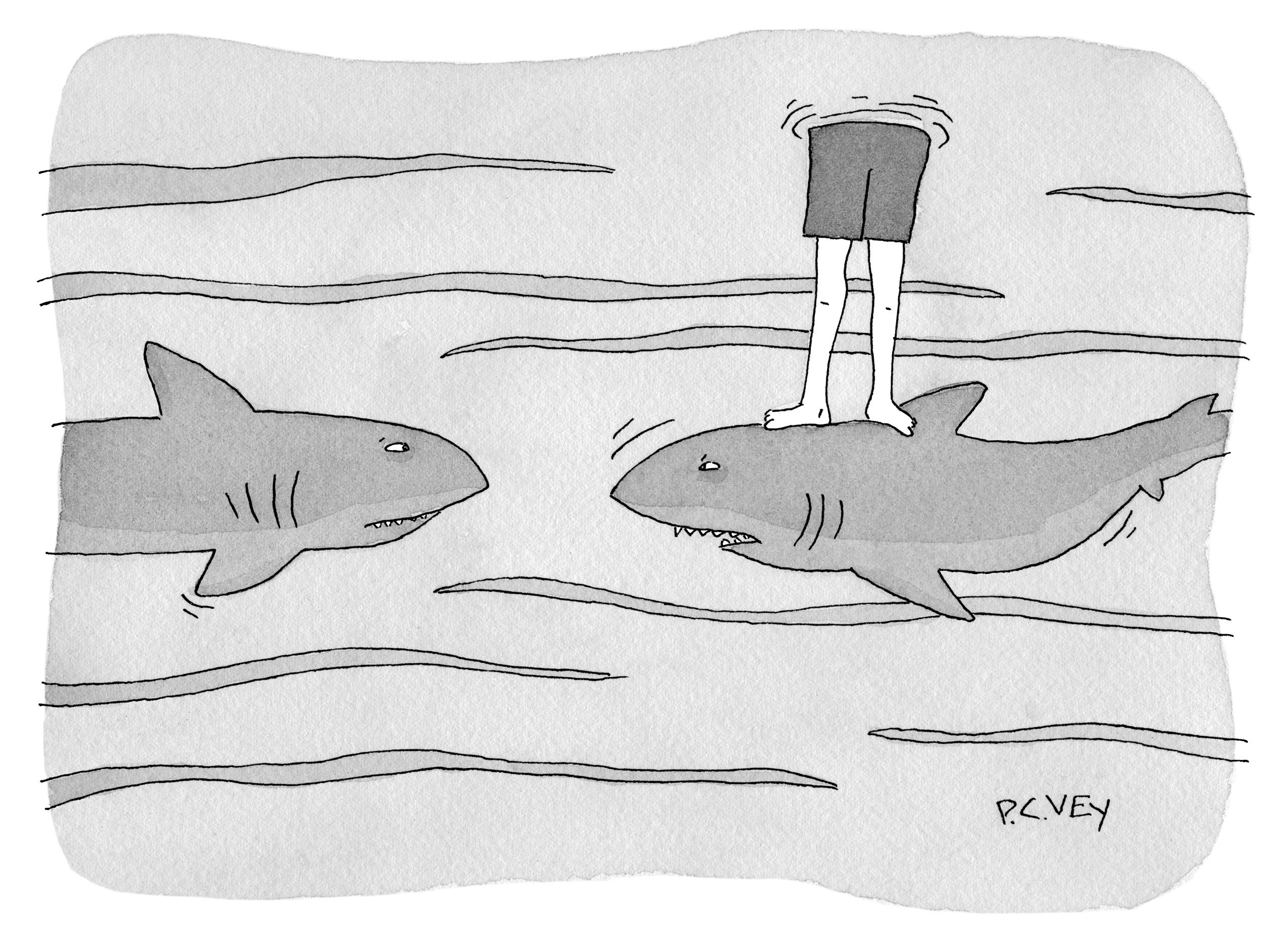 New Yorker Cartoon Contest 665